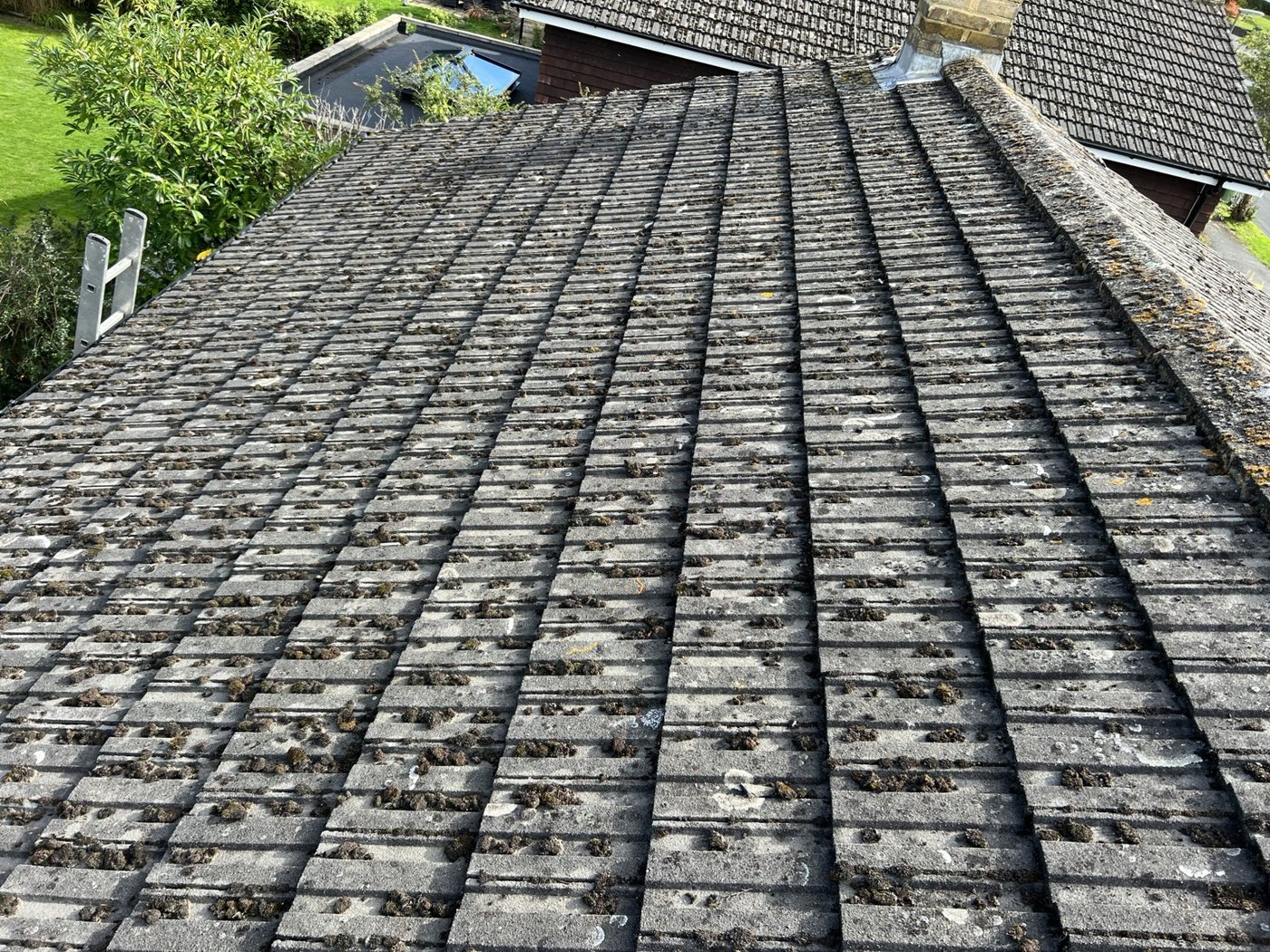 Moss and debris on a tiled pitched roof before cleaning